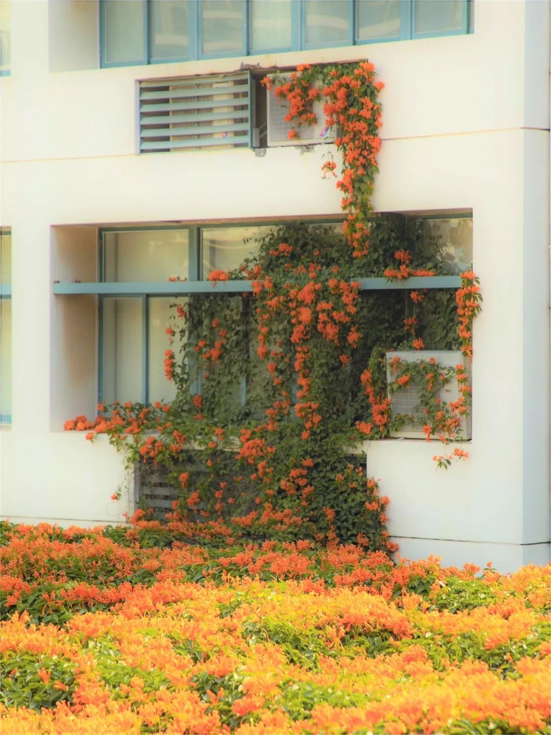 75adcb5d31c390d9b082017be74ceecf_640_wx_fmt=jpeg&wxfrom=5&wx_lazy=1&wx_co=1.jpg 75adcb5d31c390d9b082017be74ceecf_640_wx_fmt=jpeg&wxfrom=5&wx_lazy=1&wx_co=1.jpg