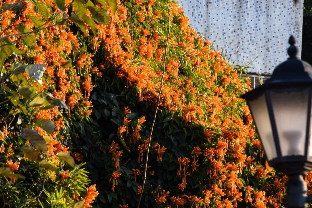 dbab1b75b32e54cee56ddef42e5a9a97_640_wx_fmt=jpeg&wxfrom=5&wx_lazy=1&wx_co=1.jpg dbab1b75b32e54cee56ddef42e5a9a97_640_wx_fmt=jpeg&wxfrom=5&wx_lazy=1&wx_co=1.jpg