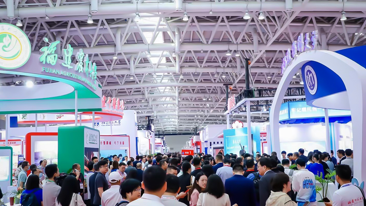 2024041612462646254.jpg 2024041612462646254.jpg