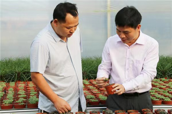 图片1.png 图片1.png