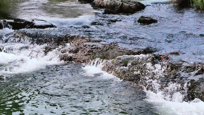 b6b5fb25-a5bf-4819-b5c7-31a306468438.gif