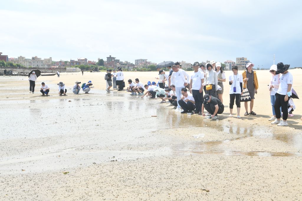 DSC_7462.JPG DSC_7462.JPG