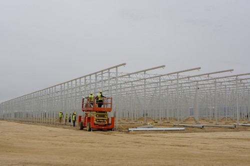 2578227_500x500.jpg 1