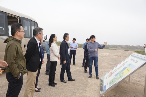 2578228_500x500.jpg 2